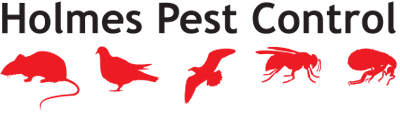 Holmes Pest Control